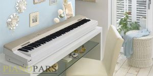 پیانو دیجیتال کاسیو PX 160 ( پی ایکس 160 ) | Casio PX 160 Digital Piano