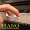 Roland RP107