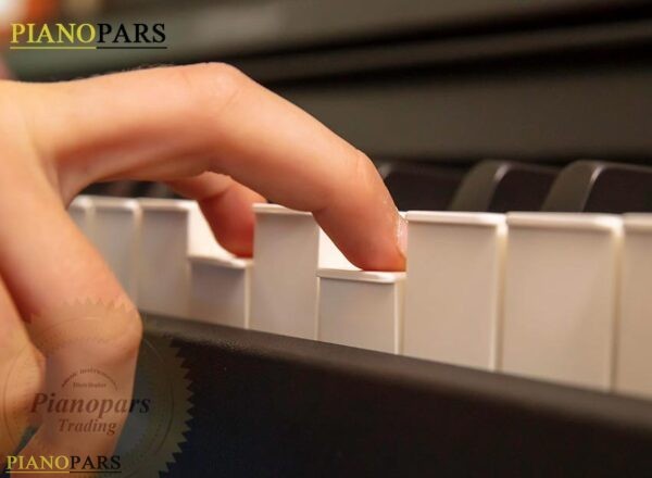 Roland RP107